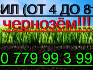 Чернозём хорошего качества!!! СКИДКА 100%. В НАЛИЧИИ.