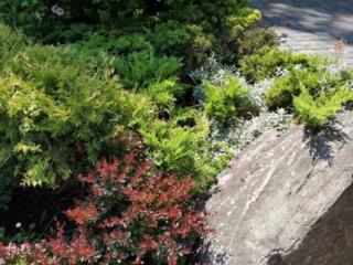 Все виды услуг по благоустройству сада - ландшафтный дизайн