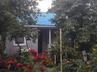 Сдам 2-комнатный домик посуточно в Крыжановке