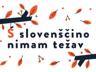 Curs de limba Slovena-250 lei/ora-On/Offline, individual, zilnic