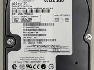 Жесткий диск WD2500 250Гб