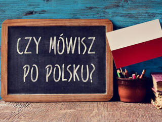 Польский язык в совершенстве за 50 уроков- 250 лей-60 мин,