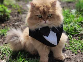 Вязка 200 евро