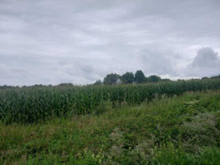 продаж ділянка під житлову забудову Стрийський, Розгорче, 5600 $