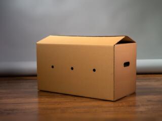 Cutii din carton