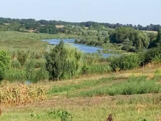 продаж 1-к дача Білоцерківський, Соколівка, 5500 $