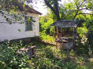 продаж 3-к будинок Бориспільський, Старе, 12500 $