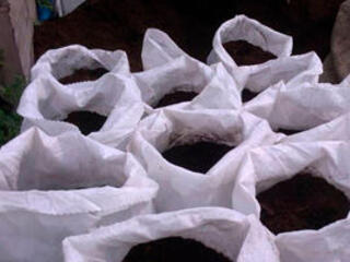 Pamint negru / Pietris / Nisip / Ciment/ Fortan / Blocuri FS4 / Carami