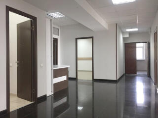 Сдается помещение под офис премиум класса в Кишиневе. 197 м2.