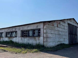 продаж приміщення вільного призначення, будівлі Гадяцький, Березова Лу