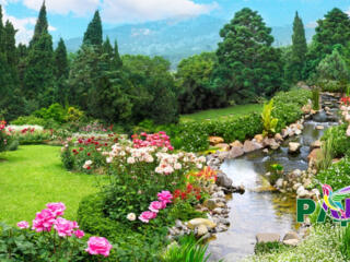 Новинка. Фотосетка. Купольные тенты прозрачные для накрытия бассейнов