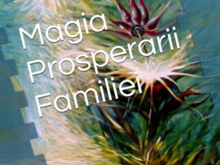 Magia Prosperării Familiei - Autor Iulia Jilinschi