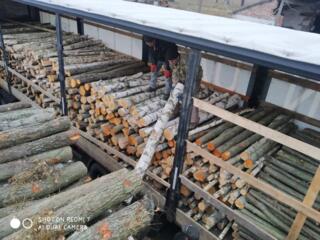 Дрова. Береза. Ольха. Дуб