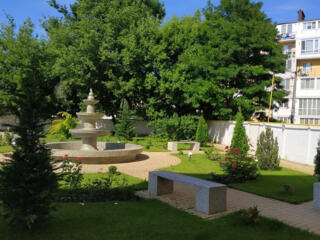 Коммерческое помещение в Историческом центре