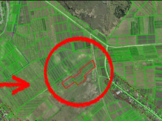 Vanzare teren 5 ha com. Dolinnoe rl. Criuleni 15 km de Chisinau