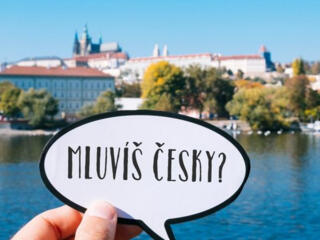 Курсы Чешского языка, онлайн/оффлайн-250 лей- час