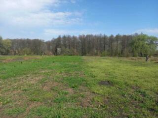 продаж ділянка під житлову забудову Броварський, Зазим`я, 40700 $