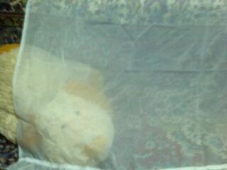 Занавеси, покрывало плюшевое, простыни, наволочки и гобелен