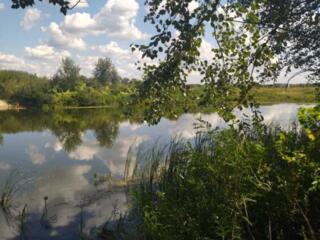 продаж ділянка під житлову забудову Броварський, Погреби, 30000 $