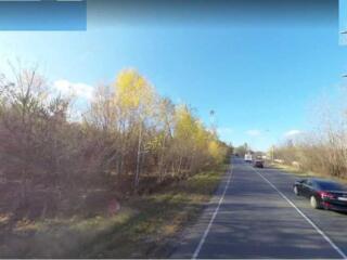 продаж ділянка під житлову забудову Бучанський, Фасівочка, 200000 $