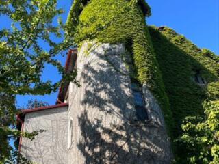 23137. Продам трехэтажный дом в Царском селе. ...