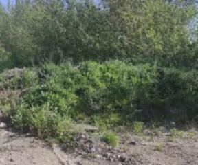 Пропонується до продажу ділянка площею 4,26 га