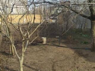 В продаже ровный участок в Червоном Хуторе. Назначение: под ...