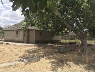 23256. Продаётся дом под ремонт с участком 8 ...