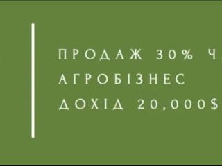 Наша компанія обслуговує фермерів та експортерів агропродукціі 