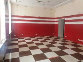 довгострокова оренда кафе, бар, ресторан Київ, Шевченківський, 170800 