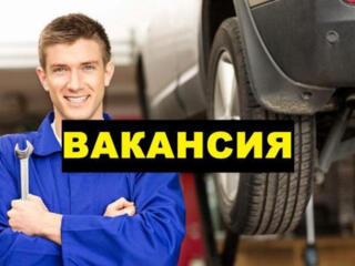 Требуется мастер по ремонту автомобилей