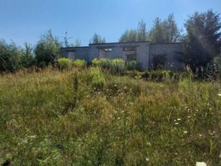 продаж ділянка сільськогосподарського призначення Бучанський, Луб`янка