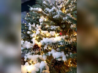 Снег - Машина - Профессионального класса. Холодный фонтана. И...