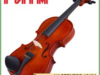 Скрипка 4/4 STENTOR 1018A STUDENT STANDARD в м. м. "РИТМ"