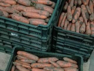 Продаем пластиковые ящики в ассортименте