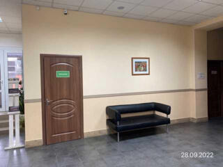 продаж офісне приміщення Бучанський, Святопетрівське, 235000 $