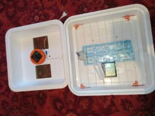 Продам инкубатор