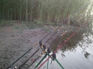 Фідерна тринога тріпод під чотири вудилища, подарунок рибалці (відео)