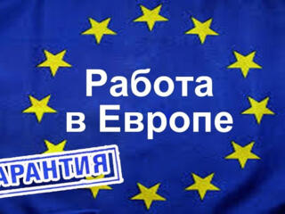 В Европу на работу. Уже 02/01/2024 г.