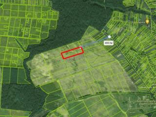 Продам земельну ділянку в Козичанка 3,12 га під забудову