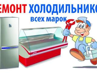 Ремонт холодильников на дому в БЕЛЬЦАХ.