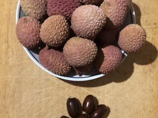 Личи - косточки (семена)