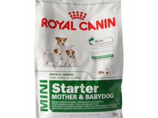 Сухой корм для Royal Canin