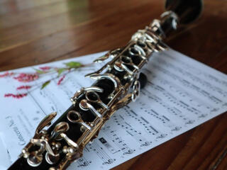Обучение игре на кларнете, блокфлейте, саксофоне и нотной грамоте.