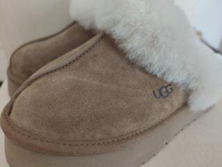 Продам тапочки UGG 36 размер- новые НОВЫЕ!