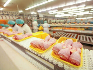 Работа на заводе куриного мяса в Польше. 1000-1300 евро чистыми!