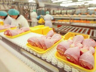 Завод по переработке куриного мяса!