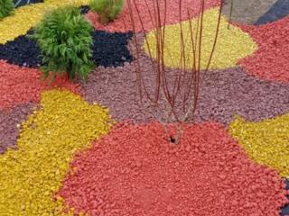 Обрезка деревьев. Обрезка кустов, обрезка винограда