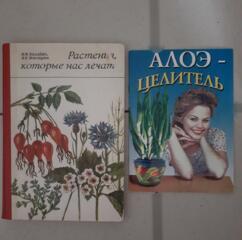 "Растения, которые нас лечат". Алоэ-целитель