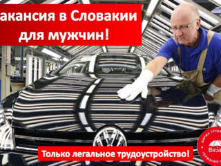 Автомобильный завод Volkswagen ищет сотрудников!